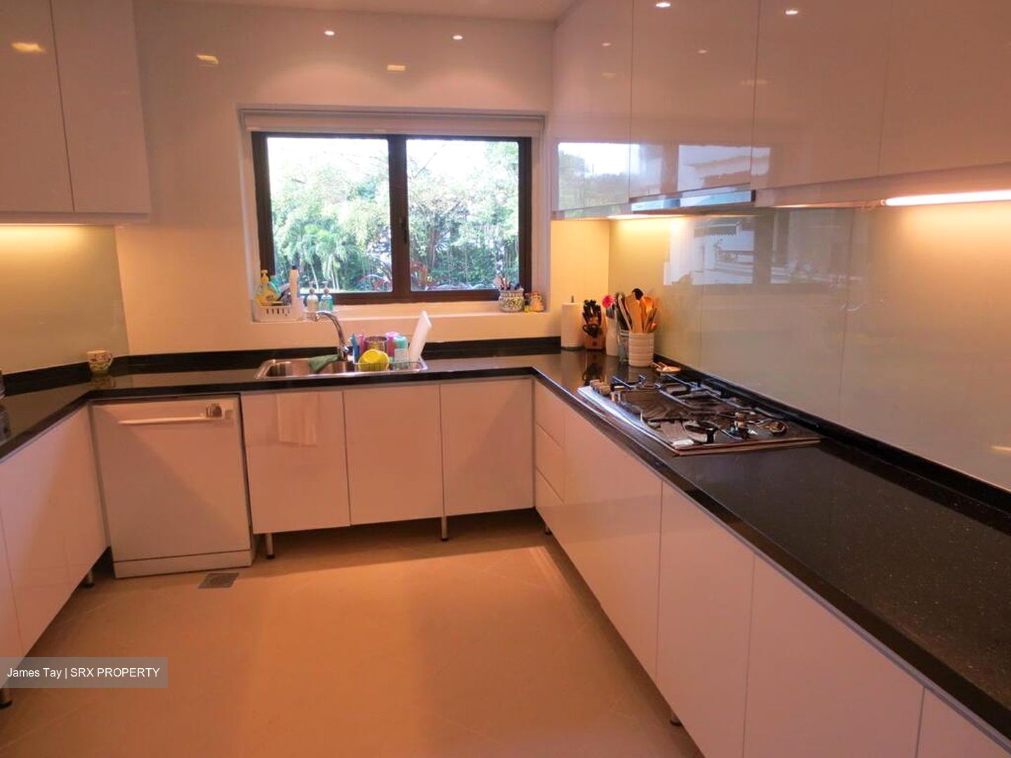 The Arcadia (D11), Condominium #510025881